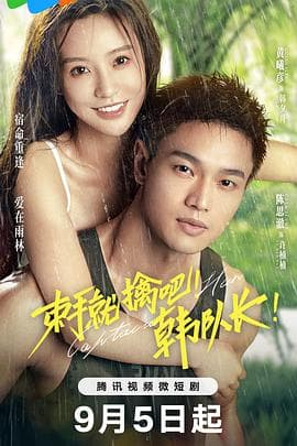 束手就擒吧!韩队长!海报
