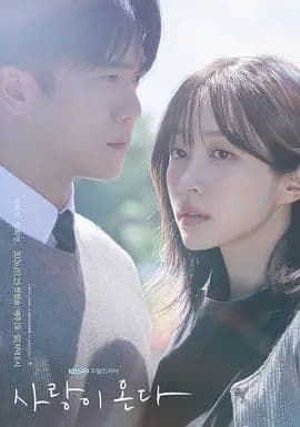 爱情来了海报