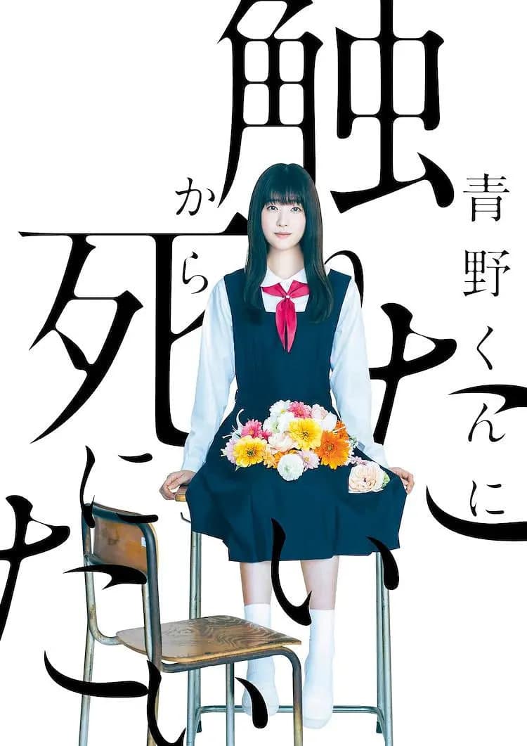 为了触摸青野同学,所以我想死海报