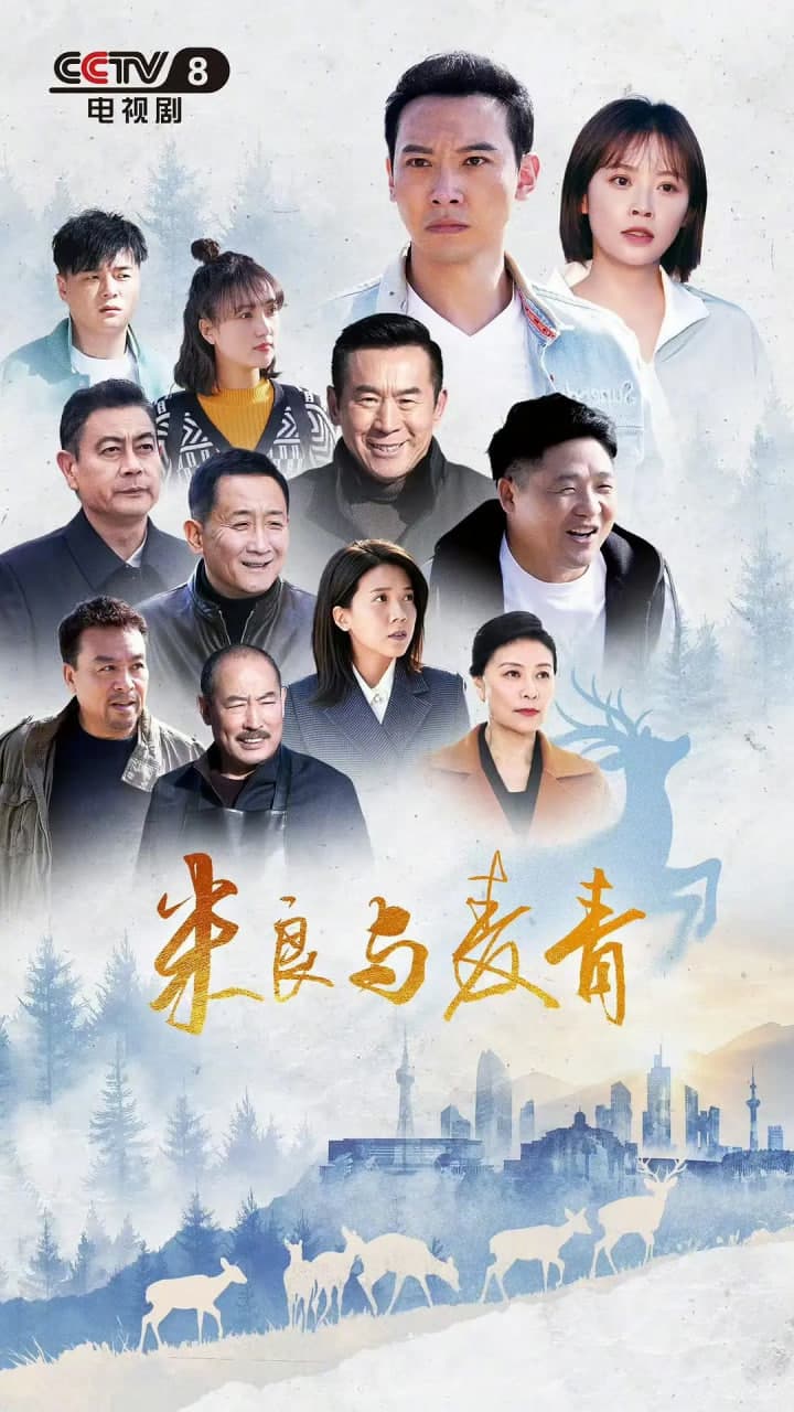 米良与麦青海报
