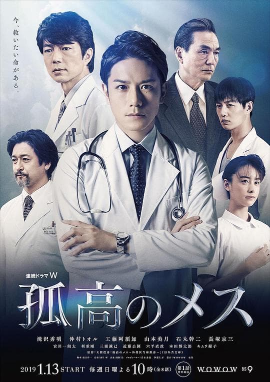 孤高的手术刀海报