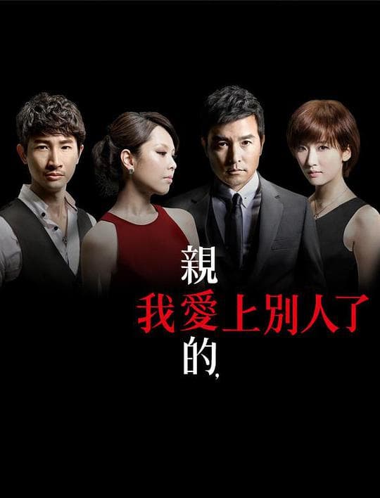亲爱的,我爱上别人了海报